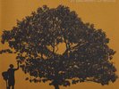 In Between Dreams [Vinyl] Jack Johnson New & Sealed FREE SHIPPING