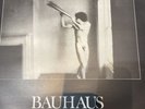 Bauhaus - In the the flat field LP