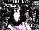 Cranes Self-Non-Self Insert UK 12