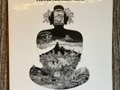 Flower Travellin' Band Satori LP reissue 180 gram NM