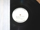 Tina Turner Sample LP - Sheffield/German Dmm 76.41251-01-1 Test Press IN Mint