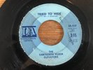 THE THIRTEENTH FLOOR ELEVATORS 45 rpm 7