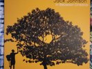 In Between Dreams by Jack Johnson (Record, 2005)