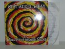 New Model Army - The Love Of Hopeless Causes - LP 4735621 - 5099747356216