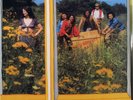 Made in Germany-same German prog psych lp reissue brand new Long Hair