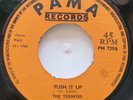45 ROCKSTEADY / THE TERMITES / PUSH IT UP / PAMA / LISTEN