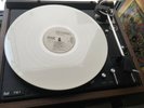 LP Camper Van Beethoven - Camper Van Beethoven weißes Vinyl VG++ 1986 RTD 109-02