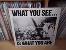 ALTERNATIVE TV What you see...is what you are UK 1978 DEPTFORD 1st Press LP