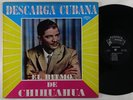 Chihuahua 