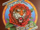 Robert Hunter - Tiger Rose - Vinyl Record.. - N28N