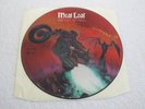 MEAT LOAF BAT OUT OF HELL - PICTURE DISC - FULLY TEST PLAYED -DISC ONLY- VGC