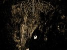 Wolves in the Throne Room Two Hunters (Vinyl) 12