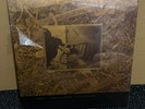 Pixies Come On Pilgrim It's Surfer Rosa Vinyl 12