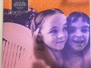 The Smashing Pumpkins Siamese Dream 2 LP  Vinyl 12” Record Sold Out Rare nirvana