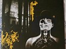 Dead Weather - Three Dollar Hat - 7