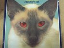 BLINK-182 Cheshire Cat LP RARE original press Grilled Cheese red eyes w/insert