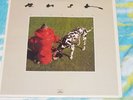 1982 RUSH Signals Rock Vinyl LP RECORD  NM- MINT