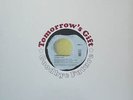 Krautrock TOMORROW'S GIFT Goodbye Future LP RE 2017 LONG HAIR Germany NM Insert