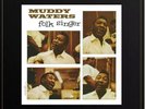 Muddy Waters Folk Singer MFSL UltraDisc One-Step 180GM Vinyl 2LP Box Set 45RPM
