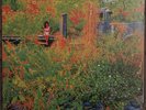 Jhene Aiko Trip Orange Translucent Vinyl Very RARE