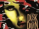 Various  - From Dusk Till Dawn Vinyl LP NEU 0750079