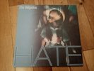 The Delgados – Hate - Original Vinyl LP 2002 Never Played MNT LP1031