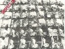 Stiff Little Fingers Suspect Device UK 7