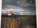 Depeche Mode ‎A Broken Frame Vinyl Record LP Sire ‎9 23751-1 promo Stamp 1982