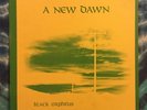 Black Orpheus LP A New Dawn TWO DOT RECORDS Rare PRIVATE PRESSING