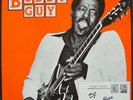 Buddy Guy D. J. Play My Blues JSP Records Vinyl LP