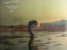 Phoebe Bridgers & Rob Moose Copycat Killer Limited SPIT Vinyl - NEW