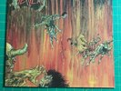 Slayer Hell Awaits BANZAI 1985 LP with OG INNER Reign In Blood THRASH VG+/VG+