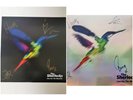 The Sherlocks - Live for the Moment Multicoloured Splatter Vinyl Signed + Print