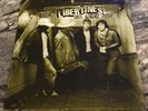 The LIBERTINES LP For Pete’s Sake 2006 Blue Marble ID;B12
