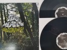 DEAD MEADOW - OLD GROWTH - VINYL 2X LP RECORD - 2008 - HEAVY STONER ROCK