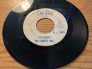 TEXAS GARAGE 45 THE LIBERTY BELL AL'S BLUES / SOMETHING FOR ME CEE-BEE DJ VG+
