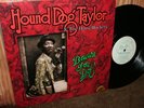 HOUND DOG TAYLOR  { BEWARE OF DOG  }  (LP) NEAR MINT ORIGINAL PRESS
