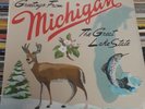 SEALED Sufjan Stevens LP The Great Lake State - Vinyl Record