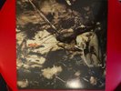 Fields of the Nephilim - Elizium LP mit DINA 4 Poster (Sisters of Mercy/Mission)