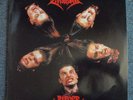 Dismember Pieces Promo-12