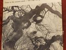 THE GAP MANGIONE TRIO: Diana In The Autumn Wind; Rare 1968 Record-LP; GRC 9001