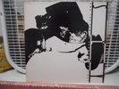 Sly and the Family Stone Anthology Double Vinyl