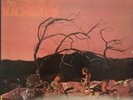 C.A. QUINTET - Trip Thru Hell (1983 reissue/boot on UK Psycho; RARE '69) EX+/M-