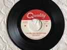 THE HAUNTED , rock GARAGE PUNK fuzz  60'S
