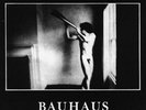 LP 33 Bauhaus – In The Flat Field Italy 1981 Peter Murphy