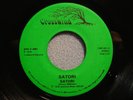 SATORI Rare 45 / Lisa’s Song- Satori 1978 CROSSWIND Baltimore SOUL FUNK BOOGIE