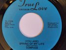 Compass - (You Are) Spring Of My Life b/w That's Enough For Me RARE Garage Soul