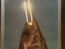 REO Speedwagon You Can Tune A Piano, But You Can’t Tuna Fish Vinyl SEALED
