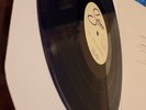 Selena - The Last Concert Vinyl
