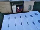 MOZART: Complete Piano Concertos   Haebler / Philips Holland stereo 12 LPs